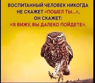 Нажмите на изображение для увеличения.

Название:	91276024_227335841960763_60704853013299200_n.jpg
Просмотров:	840
Размер:	68.0 Кб
ID:	4280102