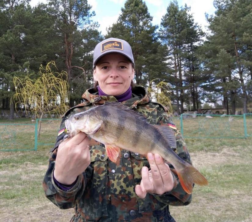 Нажмите на изображение для увеличения.  Название:	image_550248.jpg Просмотров:	0 Размер:	121.4 Кб ID:	4289910