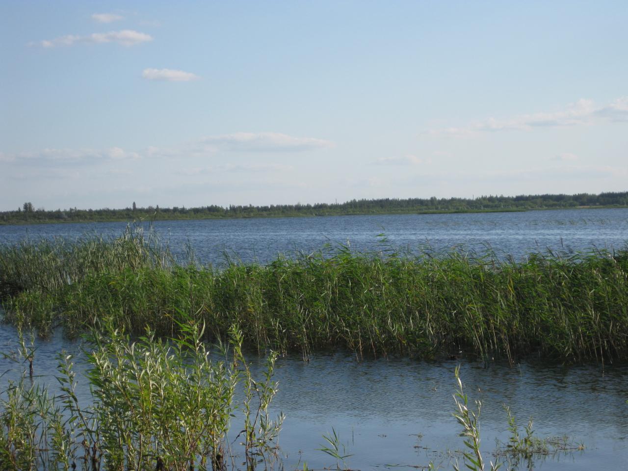 Озеро левки стародорожский район