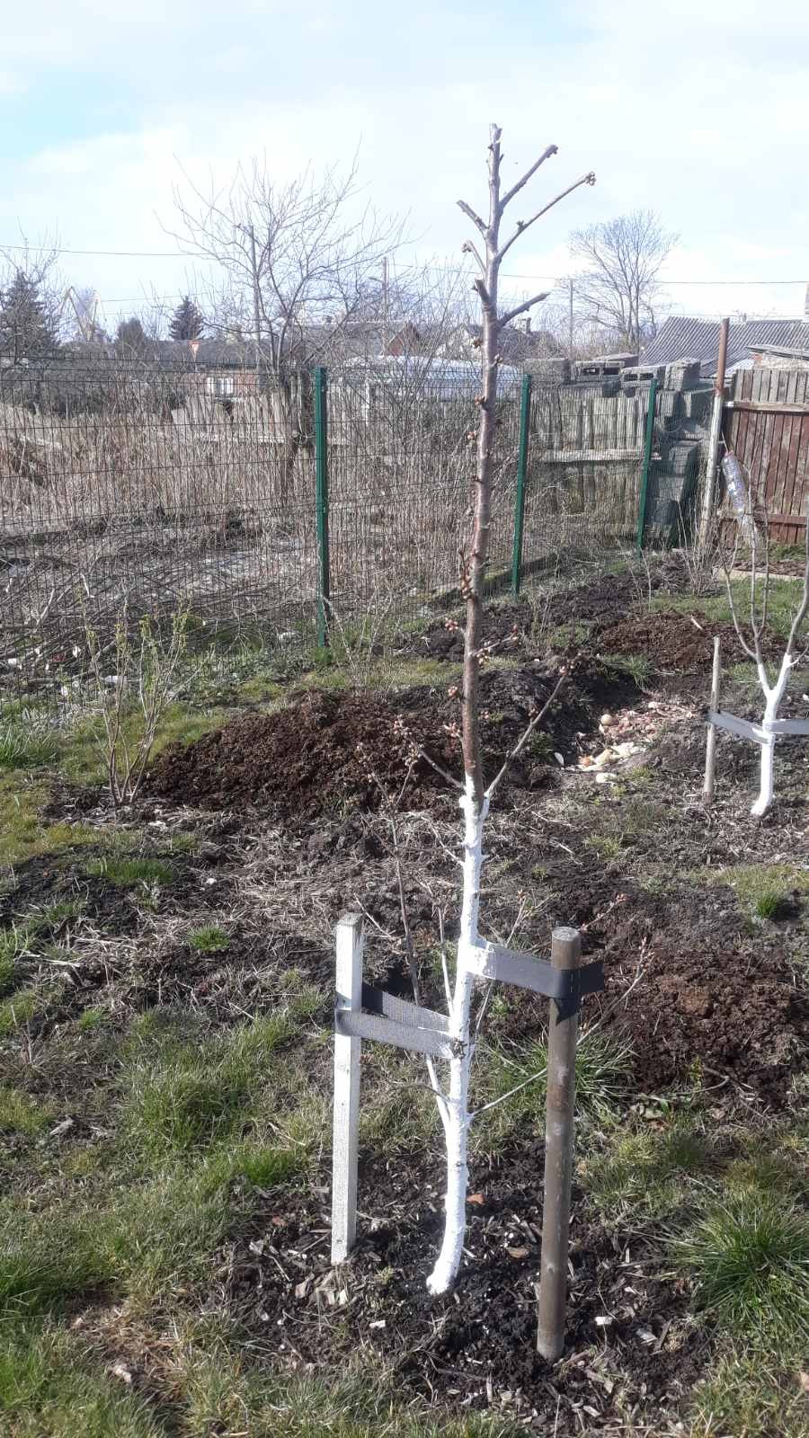 Нажмите на изображение для увеличения.  Название:	viber image.jpg Просмотров:	0 Размер:	462.8 Кб ID:	4298981