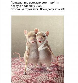 Нажмите на изображение для увеличения.

Название:	IMG-4090f591b511b6819c16d16776d99a7b-V.jpg
Просмотров:	920
Размер:	299.2 Кб
ID:	4300393