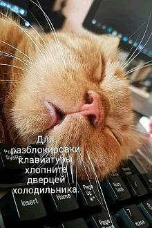 Нажмите на изображение для увеличения.

Название:	post-15694-1596538587.jpeg
Просмотров:	2759
Размер:	132.3 Кб
ID:	4302292