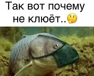 Нажмите на изображение для увеличения.

Название:	118071116_3478147088897017_8183948333320034723_o.jpg
Просмотров:	5336
Размер:	60.4 Кб
ID:	4305484