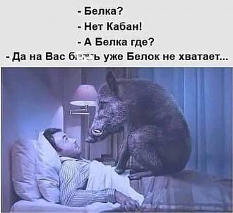 Нажмите на изображение для увеличения.

Название:	122091001_185408866424046_3392910879292329463_n.jpg
Просмотров:	724
Размер:	32.6 Кб
ID:	4325443