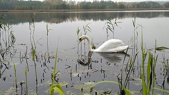 Нажмите на изображение для увеличения.

Название:	IMG_20201025_170517.jpg
Просмотров:	4068
Размер:	537.8 Кб
ID:	4325536