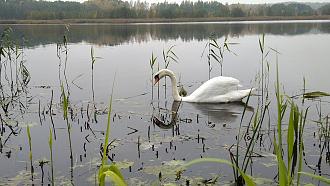 Нажмите на изображение для увеличения.

Название:	IMG_20201025_170517.jpg
Просмотров:	3542
Размер:	537.8 Кб
ID:	4325536