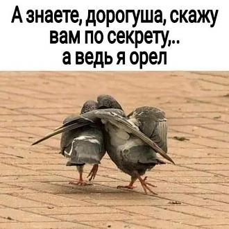 Нажмите на изображение для увеличения.

Название:	FB_IMG_1604379403754.jpg
Просмотров:	1035
Размер:	79.4 Кб
ID:	4326016