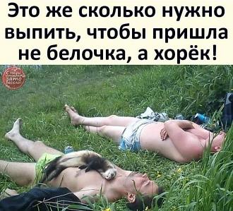 Нажмите на изображение для увеличения.

Название:	123767268_3447249958664137_3593726673046797023_n.jpg
Просмотров:	985
Размер:	110.4 Кб
ID:	4326490