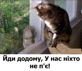 Нажмите на изображение для увеличения.

Название:	FB_IMG_1604990195304.jpg
Просмотров:	1075
Размер:	58.4 Кб
ID:	4327104