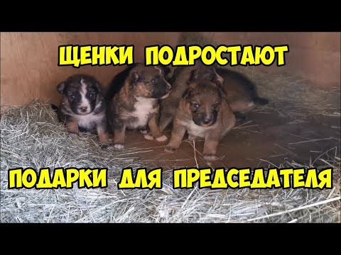 Нажмите на изображение для увеличения.

Название:	Подарок.jpg
Просмотров:	704
Размер:	58.1 Кб
ID:	4329317