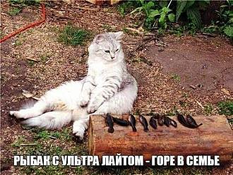 Нажмите на изображение для увеличения.

Название:	FB_IMG_1606633300085.jpg
Просмотров:	2021
Размер:	110.5 Кб
ID:	4329551