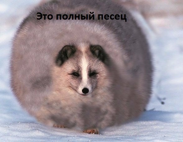 Нажмите на изображение для увеличения.

Название:	полный.jpg
Просмотров:	1065
Размер:	59.4 Кб
ID:	4330109