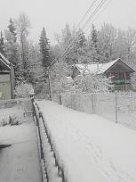 Нажмите на изображение для увеличения.

Название:	IMG_20210101_104501.jpg
Просмотров:	5370
Размер:	472.4 Кб
ID:	4331564