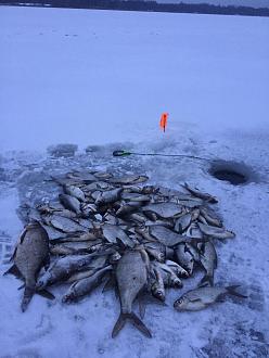 Нажмите на изображение для увеличения.

Название:	IMG_2685.JPG
Просмотров:	2362
Размер:	345.1 Кб
ID:	4332141