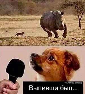 Нажмите на изображение для увеличения.

Название:	FB_IMG_1610345619124.jpg
Просмотров:	787
Размер:	52.1 Кб
ID:	4332319