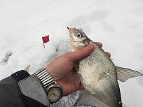 Нажмите на изображение для увеличения.

Название:	IMG_2732.JPG
Просмотров:	7433
Размер:	350.4 Кб
ID:	4332676