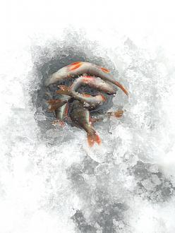 Нажмите на изображение для увеличения.

Название:	IMG_20210124_144237.jpg
Просмотров:	2671
Размер:	326.2 Кб
ID:	4333731