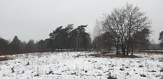 Нажмите на изображение для увеличения.

Название:	20210124_130225.jpg
Просмотров:	2833
Размер:	599.9 Кб
ID:	4333799
