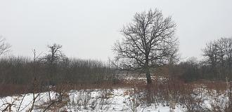 Нажмите на изображение для увеличения.

Название:	20210124_130233.jpg
Просмотров:	2831
Размер:	586.0 Кб
ID:	4333801