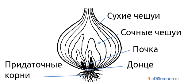 Нажмите на изображение для увеличения.

Название:	e25167ce37a828c0c22cdda15a2f235c.png
Просмотров:	867
Размер:	51.5 Кб
ID:	4336066