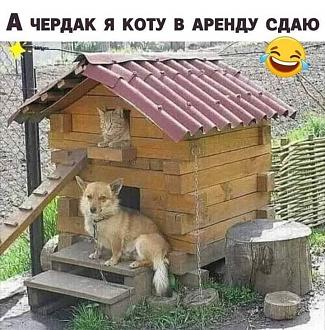 Нажмите на изображение для увеличения.

Название:	155868964_1104332686739333_7367188426243396848_n.jpg
Просмотров:	1178
Размер:	117.8 Кб
ID:	4338192
