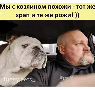 Нажмите на изображение для увеличения.

Название:	00bc0705e836516174747d7964747b5a37c48ac67666445e76b3d84cb91959fc_1.jpg
Просмотров:	4599
Размер:	168.4 Кб
ID:	4338217