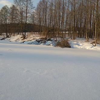 Нажмите на изображение для увеличения.

Название:	IMG_20210311_083249.jpg
Просмотров:	140199
Размер:	558.7 Кб
ID:	4338377