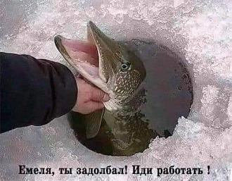 Нажмите на изображение для увеличения.

Название:	FB_IMG_1617217679187.jpg
Просмотров:	960
Размер:	53.3 Кб
ID:	4340061