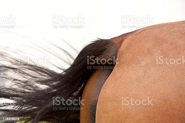 Нажмите на изображение для увеличения.

Название:	istockphoto-118308829-612x612.jpg
Просмотров:	840
Размер:	52.0 Кб
ID:	4349490