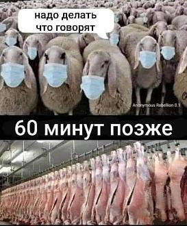 Нажмите на изображение для увеличения.

Название:	181705379_2984043591842003_2591824363875515759_n.jpg
Просмотров:	774
Размер:	67.4 Кб
ID:	4351190
