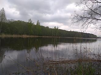 Нажмите на изображение для увеличения.

Название:	IMG_20210514_121924.jpg
Просмотров:	2720
Размер:	591.0 Кб
ID:	4352343
