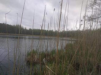 Нажмите на изображение для увеличения.

Название:	IMG_20210514_132536.jpg
Просмотров:	2710
Размер:	584.2 Кб
ID:	4352341