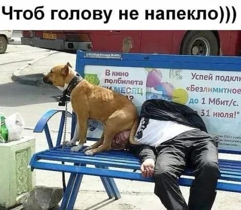 Нажмите на изображение для увеличения.  Название:	196816421_2855810448068041_8780191371667554546_n.jpg Просмотров:	0 Размер:	54.2 Кб ID:	4355471
