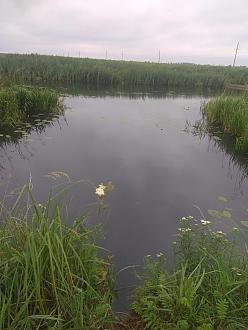 Нажмите на изображение для увеличения.

Название:	IMG_20210704_093753.jpg
Просмотров:	5146
Размер:	363.3 Кб
ID:	4370121
