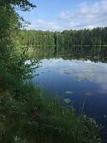 Нажмите на изображение для увеличения.

Название:	IMG_3414.JPG
Просмотров:	2257
Размер:	440.3 Кб
ID:	4370281