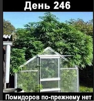 Нажмите на изображение для увеличения.

Название:	FB_IMG_1625949764411.jpg
Просмотров:	1103
Размер:	98.7 Кб
ID:	4370623