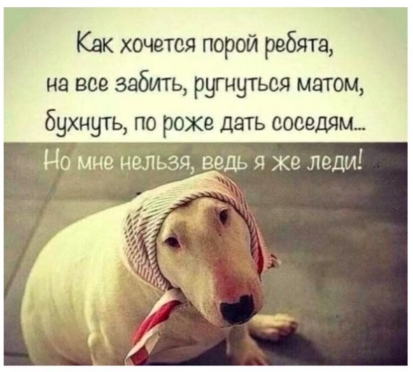 Нажмите на изображение для увеличения.

Название:	92ff02b3348b39d7ec4d6d60ef4b22ba.jpg
Просмотров:	981
Размер:	65.3 Кб
ID:	4371227