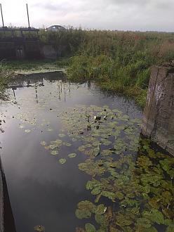 Нажмите на изображение для увеличения.

Название:	IMG_20210718_082801.jpg
Просмотров:	3755
Размер:	473.6 Кб
ID:	4371396