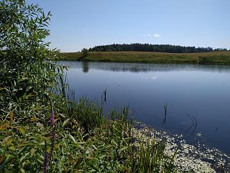 Нажмите на изображение для увеличения.

Название:	IMG_20210710_105926.jpg
Просмотров:	3402
Размер:	595.8 Кб
ID:	4371408