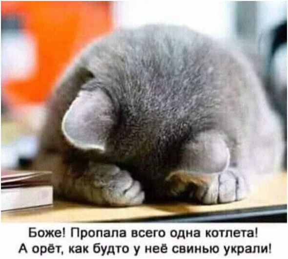 Нажмите на изображение для увеличения.

Название:	ed3a679d027e171c65cbfeb327a824dc.jpg
Просмотров:	516
Размер:	64.5 Кб
ID:	4396349