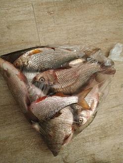 Нажмите на изображение для увеличения.  Название:	IMG_20210801_225402.jpg Просмотров:	0 Размер:	383.2 Кб ID:	4396659