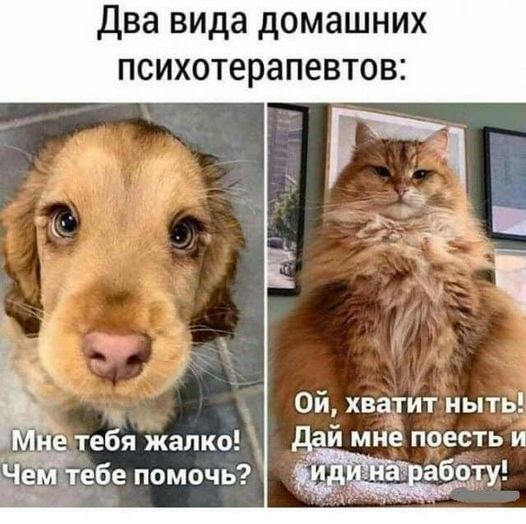 Нажмите на изображение для увеличения.

Название:	7a683d5dfc033544a0028b1b2324e46e.jpg
Просмотров:	1186
Размер:	76.0 Кб
ID:	4397544