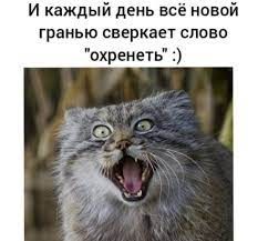 Нажмите на изображение для увеличения.

Название:	baf75b6e022d4d46db20ce83df4f4e18.jpg
Просмотров:	771
Размер:	16.0 Кб
ID:	4397717