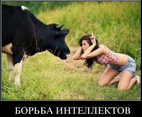 Нажмите на изображение для увеличения.

Название:	jpg
Просмотров:	497
Размер:	57.6 Кб
ID:	4398942