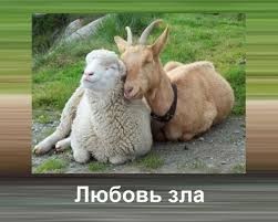Нажмите на изображение для увеличения.

Название:	9e5e7442ae3dbd29d4082d5bb3e72f0c.jpg
Просмотров:	534
Размер:	15.4 Кб
ID:	4399437