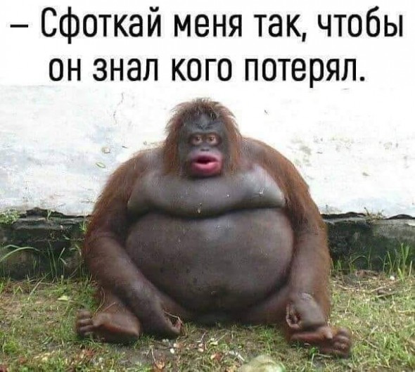 Нажмите на изображение для увеличения.

Название:	fb87f30760da6d238a2c075b0f365571.jpg
Просмотров:	520
Размер:	81.8 Кб
ID:	4400198