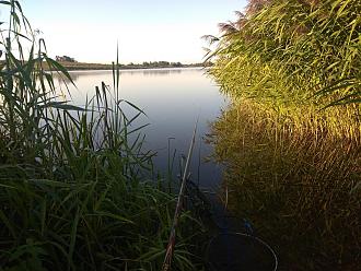 Нажмите на изображение для увеличения.  Название:	IMG_20210905_074053.jpg Просмотров:	553 Размер:	615.7 Кб ID:	4400381