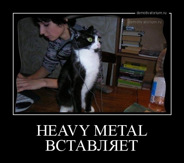 Нажмите на изображение для увеличения.

Название:	HEAVY METAL ВСТАВЛЯЕТ.jpg
Просмотров:	1070
Размер:	63.4 Кб
ID:	4402492
