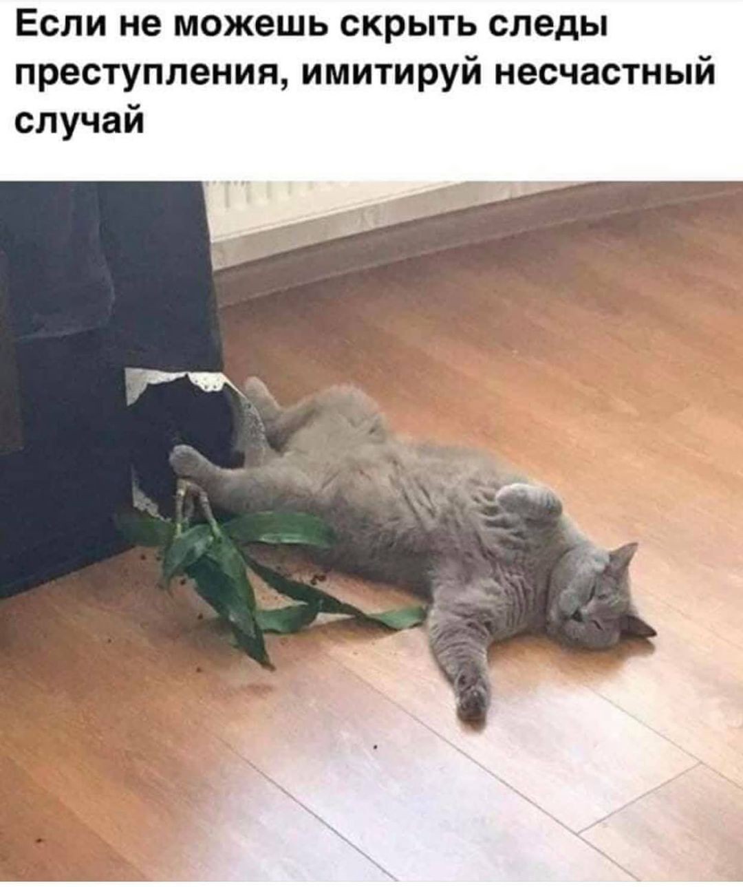 Нажмите на изображение для увеличения.

Название:	242768431_3208713882692039_2057569354138531785_n.jpg?_nc_cat=104&amp;ccb=1-5&amp;_nc_sid=825194&amp;_nc_ohc=nXokKZVQIcEAX8ix4br&amp;_nc_ht=scontent.fdnk6-2.fna&amp;oh=c3669635d8c69f3c21048bc6e3b16e55&amp;oe=617479D2.jpg
Просмотров:	582
Размер:	155.9 Кб
ID:	4402671