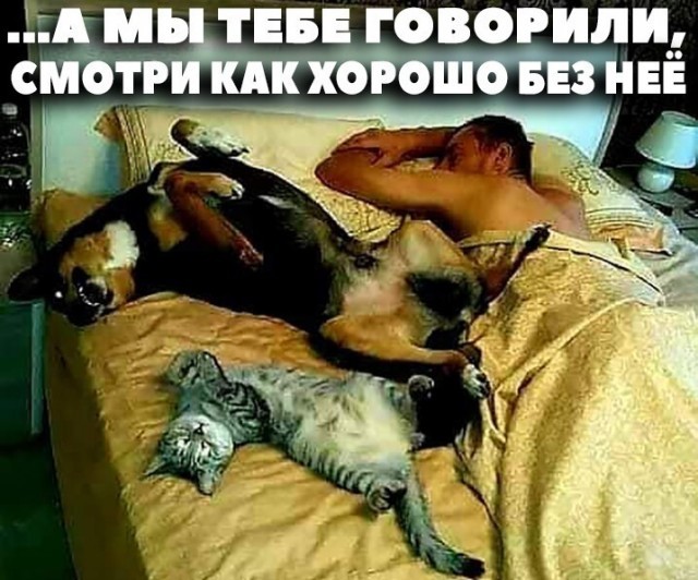 Нажмите на изображение для увеличения.

Название:	3e9409cd0df79e85748cdb419667a879.jpg
Просмотров:	595
Размер:	98.1 Кб
ID:	4402866
